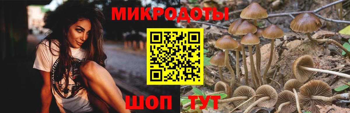 Псилоцибиновые грибы Psilocybine cubensis Мелеуз